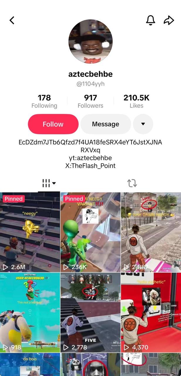 @1104yyh's TikTok profile showing the $NEEGY contract address in his bio, next to his original Neegy video